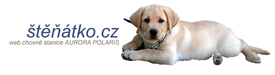 Štěňátko.cz chovatelská stanice Aurora Polaris